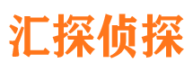 城子河侦探社